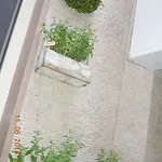 Miklu Luxury Daire