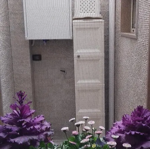 Miklu Luxury Apartment