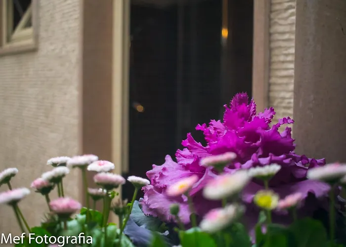 Apartment Miklu Luxury Lecce