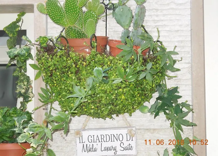 Miklu Luxury Apartment