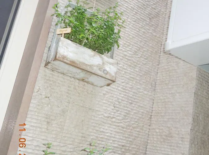 Miklu Luxury Apartment