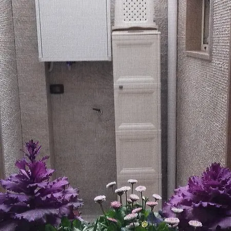 Miklu Luxury Apartment