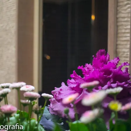 Apartment Miklu Luxury Lecce