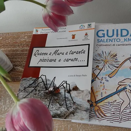 Miklu Luxury Appartement *