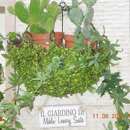 Miklu Luxury Apartament